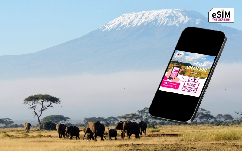 Kết nối Internet xuyên suốt 26 quốc gia châu Phi chỉ với một eSIM du lịch duy nhất.